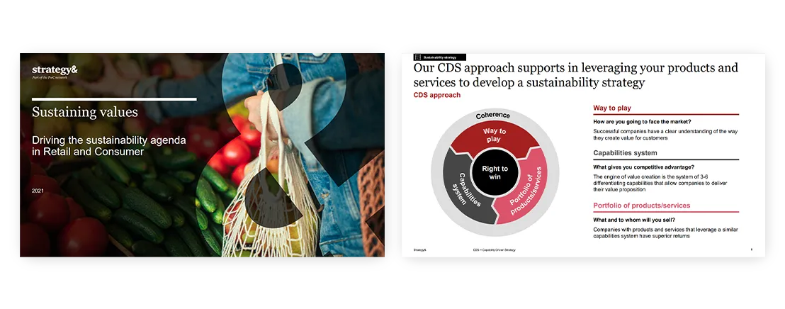 professional quality presentation Driving the sustainability agenda on C level